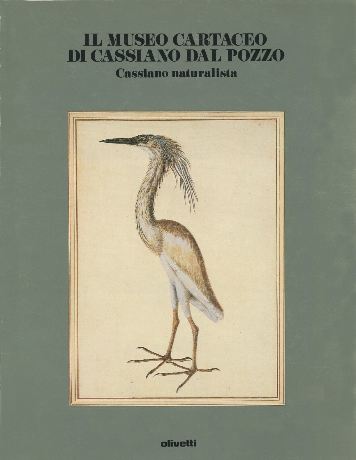 Il Museo cartaceo di Cassiano dal Pozzo. Cassiano naturalista